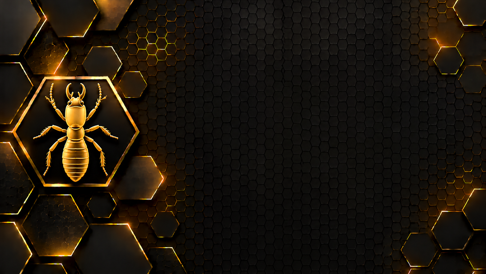 Termite Treatment icon